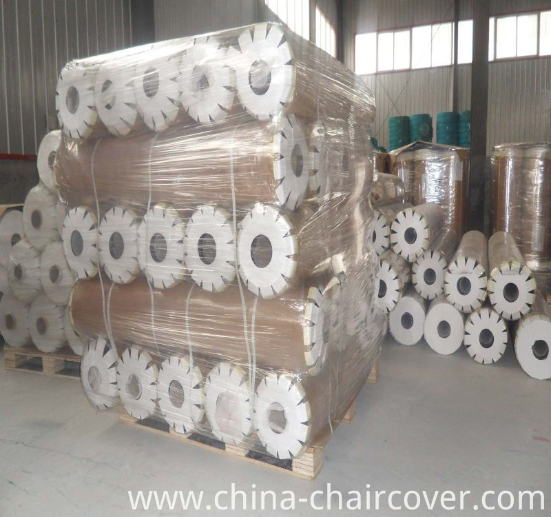 Transparent PVC Strip Curtain